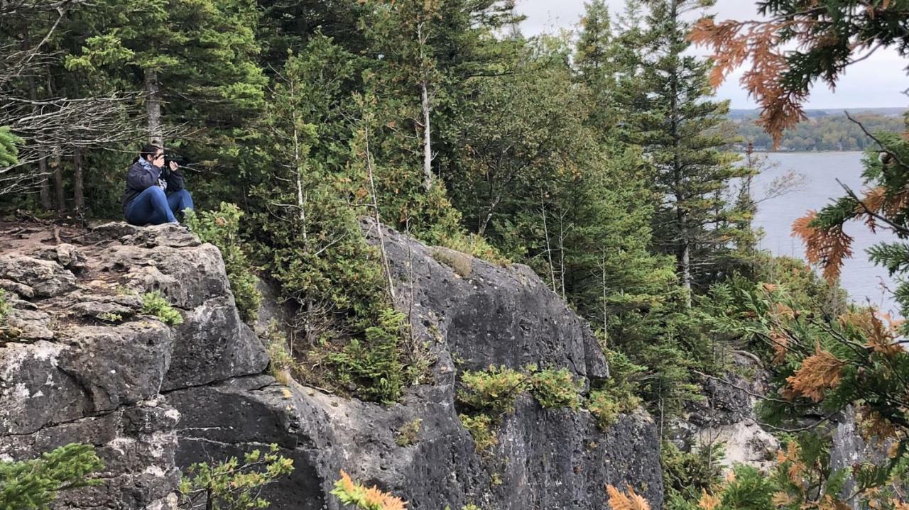 The Whippoorwill Cottage - Nbp-2022-201 Lions Head Eksteriør bilde